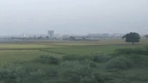 पंजाब-चंडीगढ़ में 28 फरवरी तक मौसम ड्राई:अमृतसर में कोहरा छाया, दिन में तेज धूप निकलेगी, अधिकतम तापमान बढ़ेगा